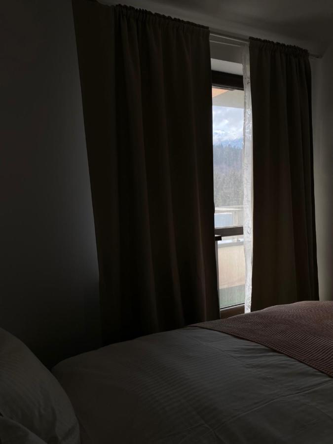 Appartamento Ioana'S Apartament Sinaia Esterno foto